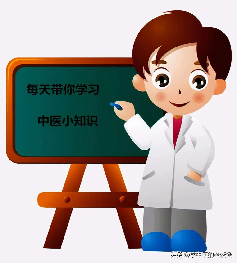 黄连治疗湿热泻痢的成分,脾胃虚寒泻痢可以用黄连吗