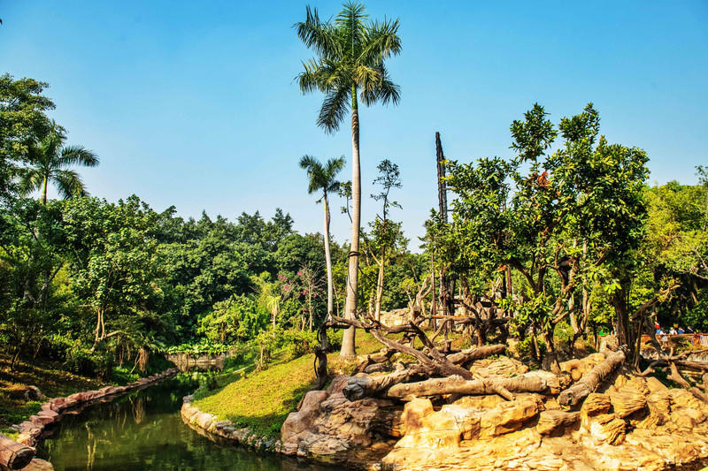 广州长隆野生动物世界旅游攻略,长隆野生动物世界攻略2-3天广州游