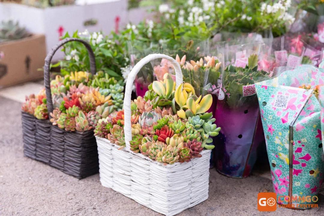 重庆最大的花市在哪里,重庆花市排名前十名