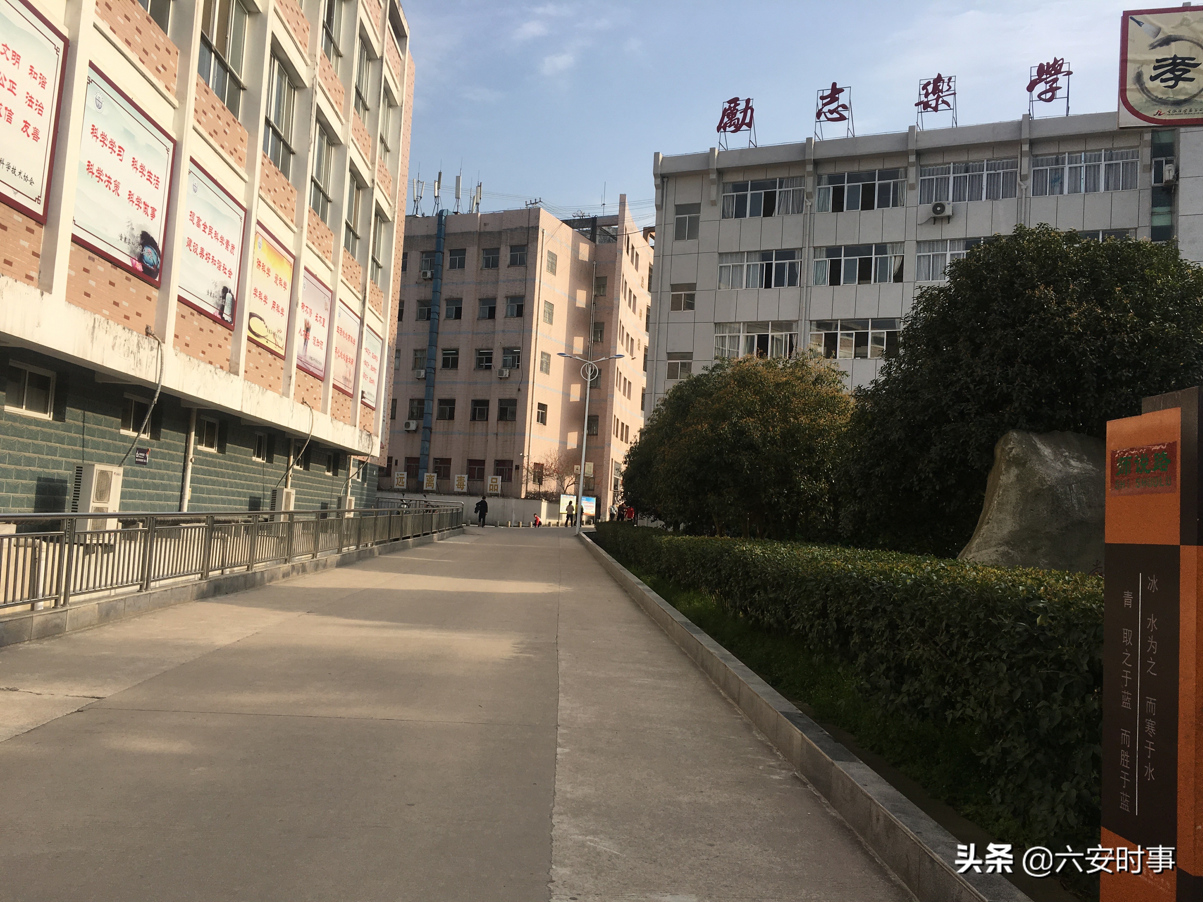 校园枝头春意浓,校园春意浓片段