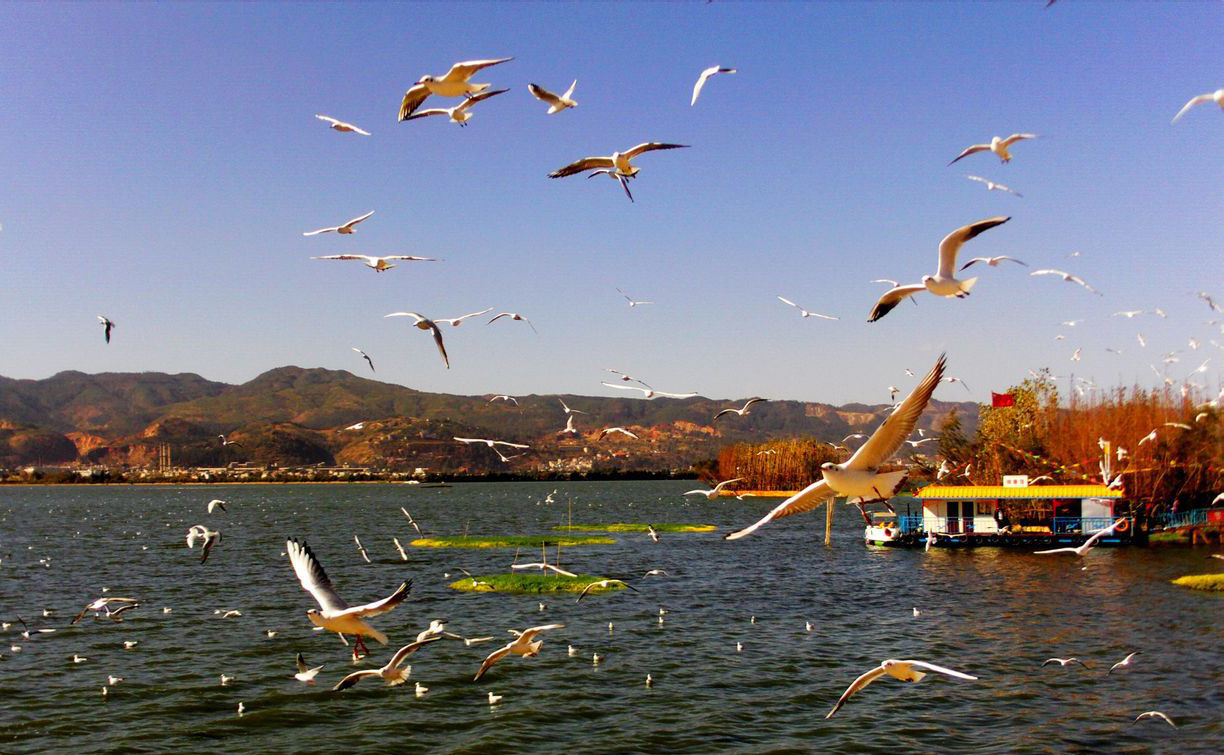 云南云光厂，83年的老字号，背山临湖，诞生中国首架*用军**望远镜