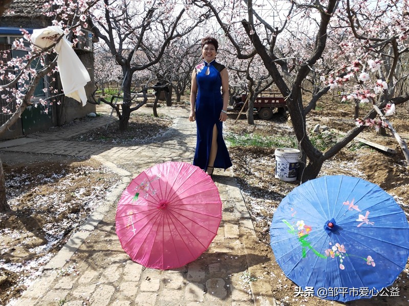 邹平黛溪张高杏花节直播,张高杏花节开幕式完整版