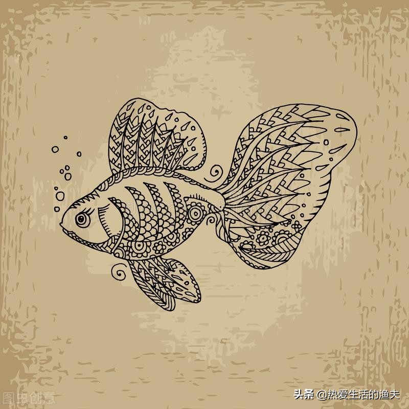 金鱼五六天不喂食会饿死吗,金鱼几天不喂食会不会死掉