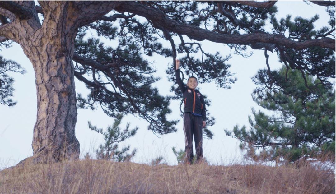 华语乐坛top100总榜谁发布的,华语乐坛金曲top100总榜弹幕