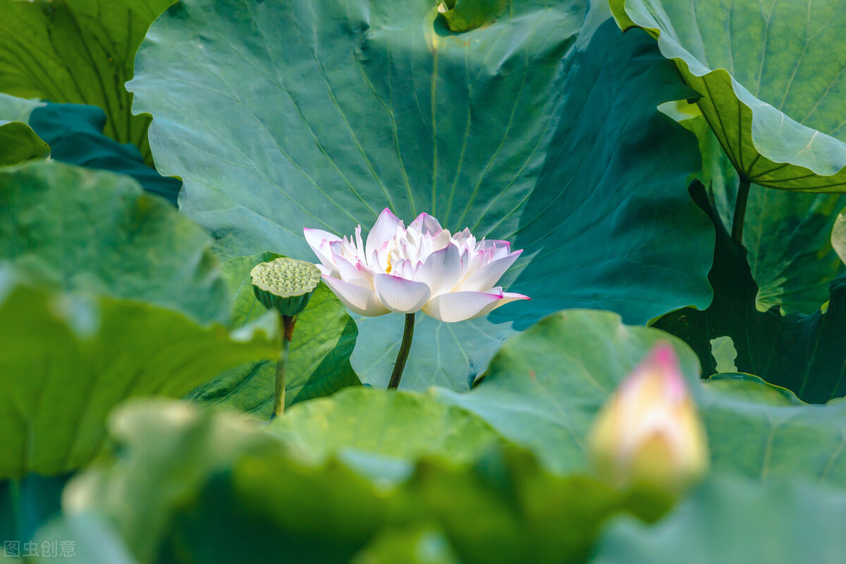 焦虑烦躁怎么缓解,过分焦虑怎么调整