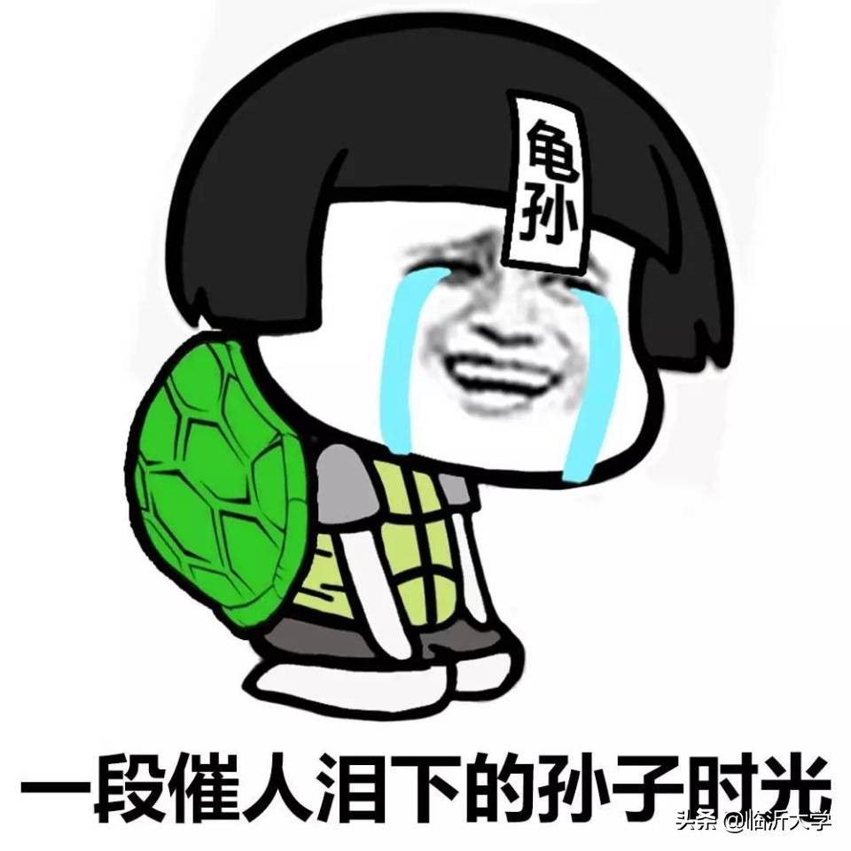 明星学车考驾照经历,一次难忘的学车过程的作文