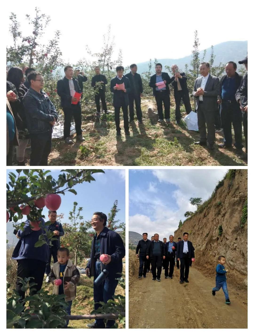 省诗歌创研会武山采风作品集(一)