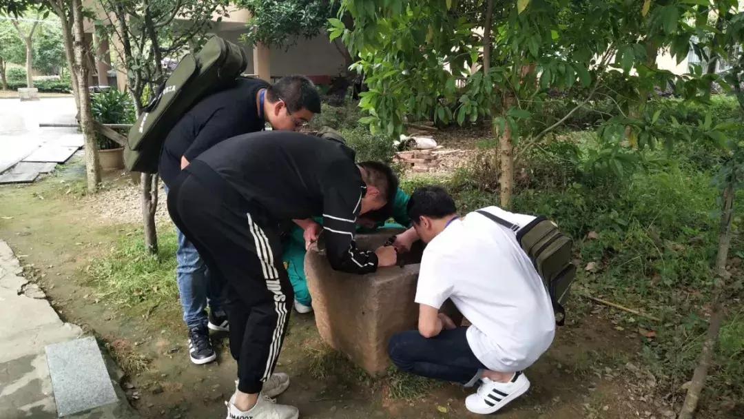 温州蚊子怎么这么多,蚊子警报