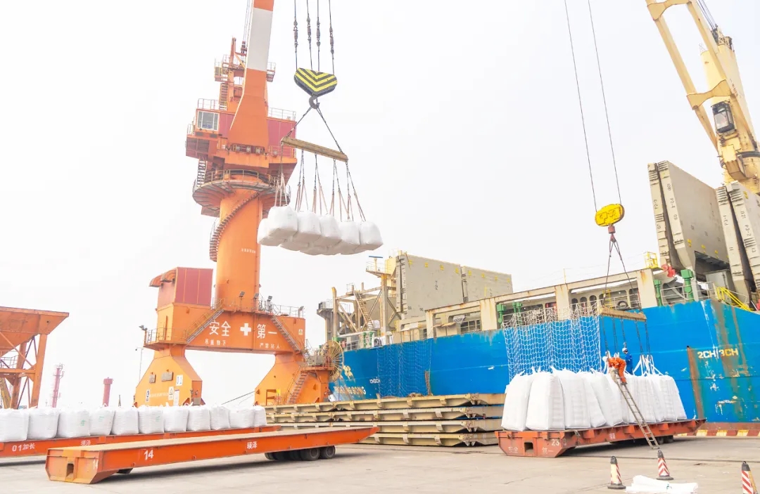 大沽口港区首次出口薄皮核桃、葵花籽