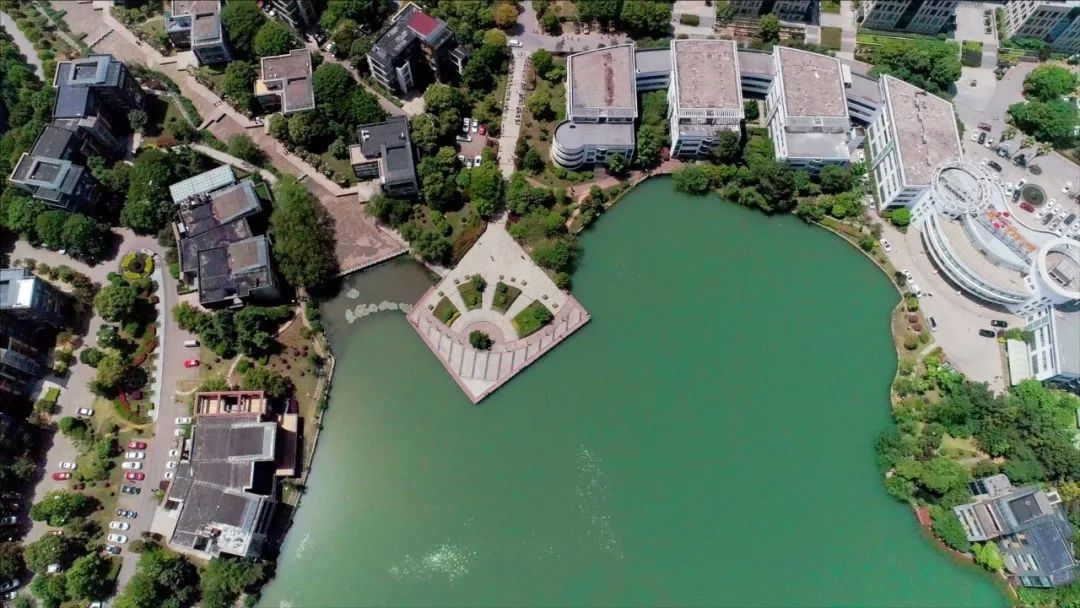 光谷软件园美景,这样的新科技你见过吗