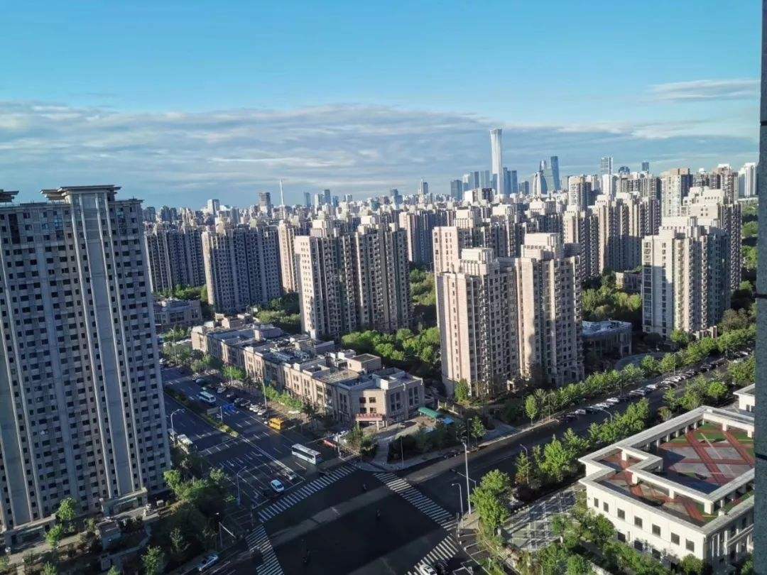 越来越多人养宠物原因,为何越来越多的人养宠物