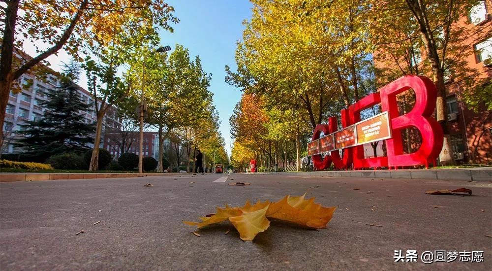 专科工资高前景高的专业,专科专业薪资排行榜