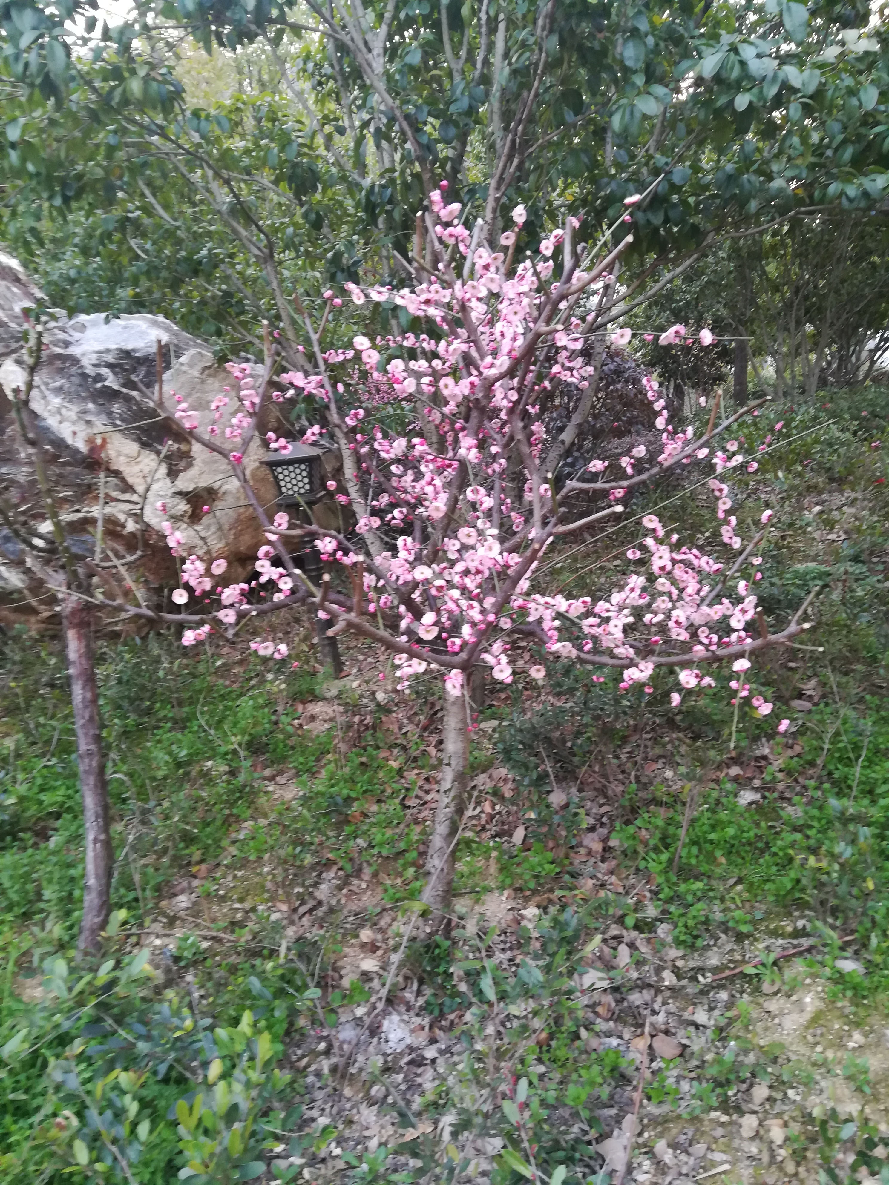 罗田三里畈温泉度假村,罗田三里畈温泉景点