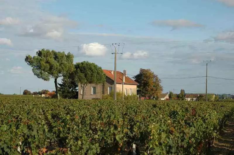 法国十大顶级酒庄排名,法国十大酒庄红酒品牌