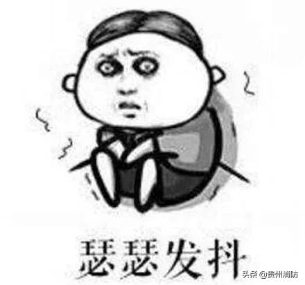 2米长蛇闯入房间,3米长蛇闯进浴室