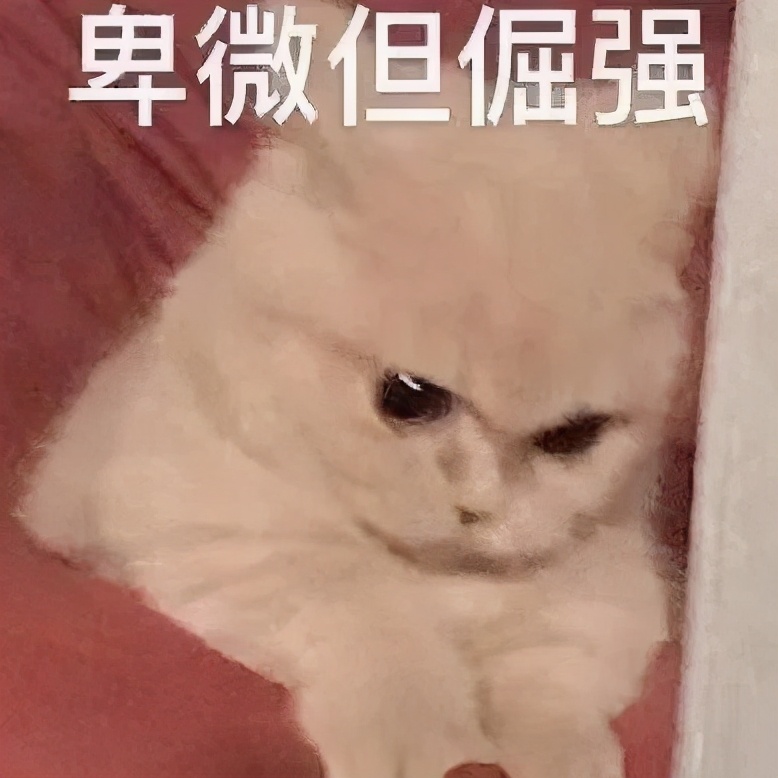 稳居文案,适合发朋友圈的憨憨文案