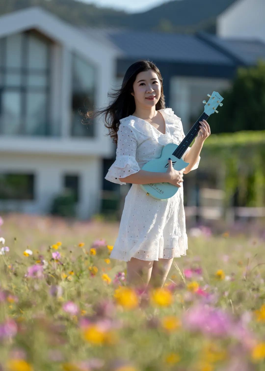 惠阳的稻田,惠阳稻田美景
