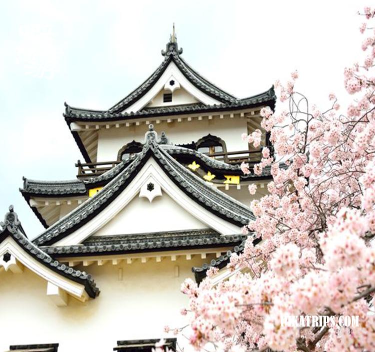 日本京都府旅游攻略,旅行日本京都滋贺