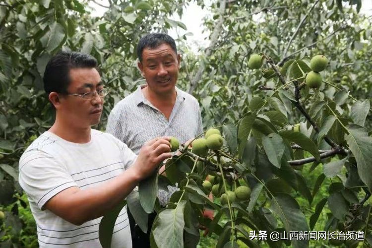 鎴戜滑韬竟鐨勬柊闂绘湁鍝簺,鎴戜滑韬竟鐨勪簩闈掍細灞辫タ