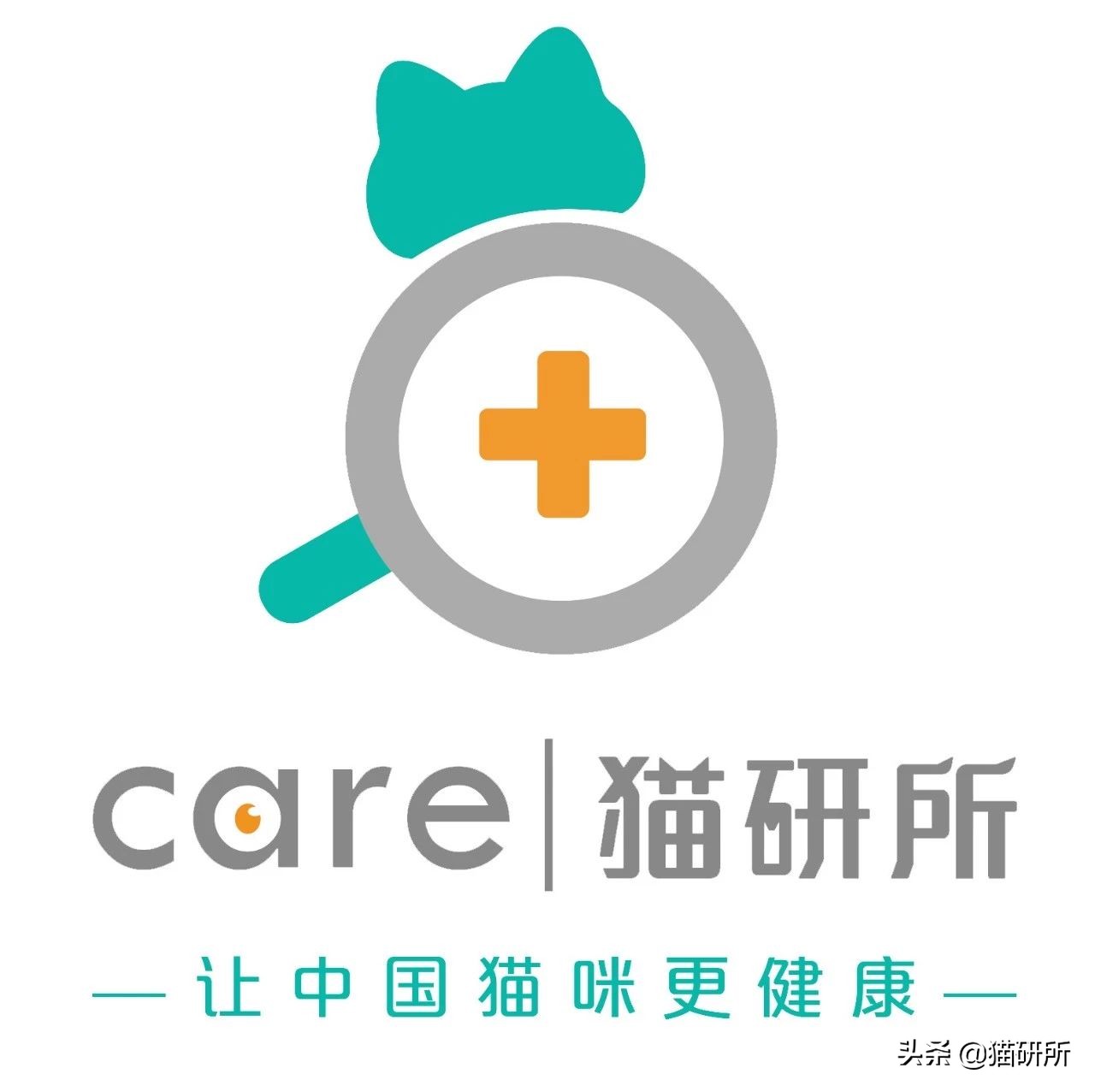 打猫过后怎么让猫不记仇,打猫之后怎么重新和猫和好