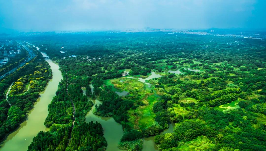 西溪湿地,对杭州意味着什么?