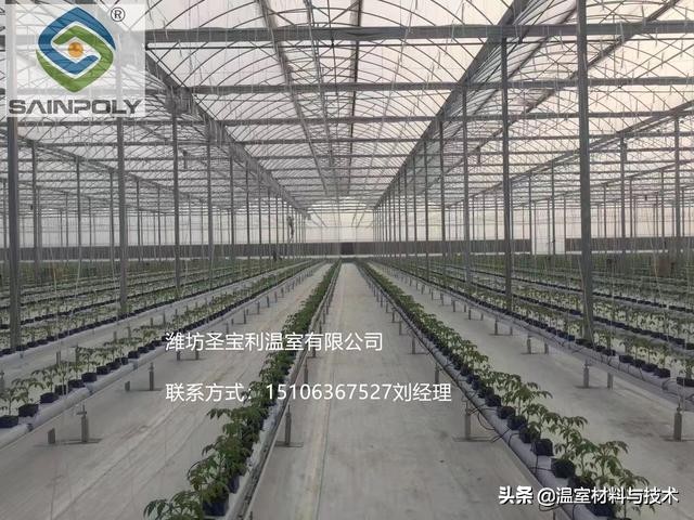 阴雨天怎样降低大棚湿度,草莓大棚湿度大怎么降低湿度