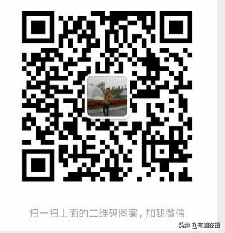 补漆修复汽车刮痕避坑,汽车有划痕没伤到漆多少钱维修