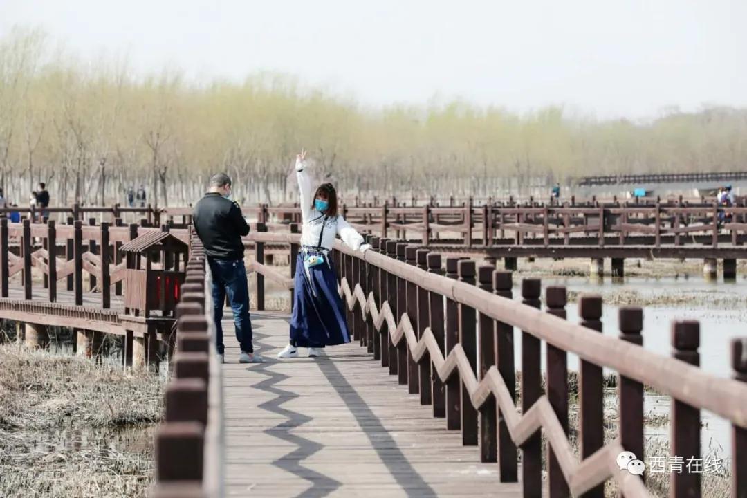 天津都有哪些公园随时免费开放,天津2022年四月开放的公园