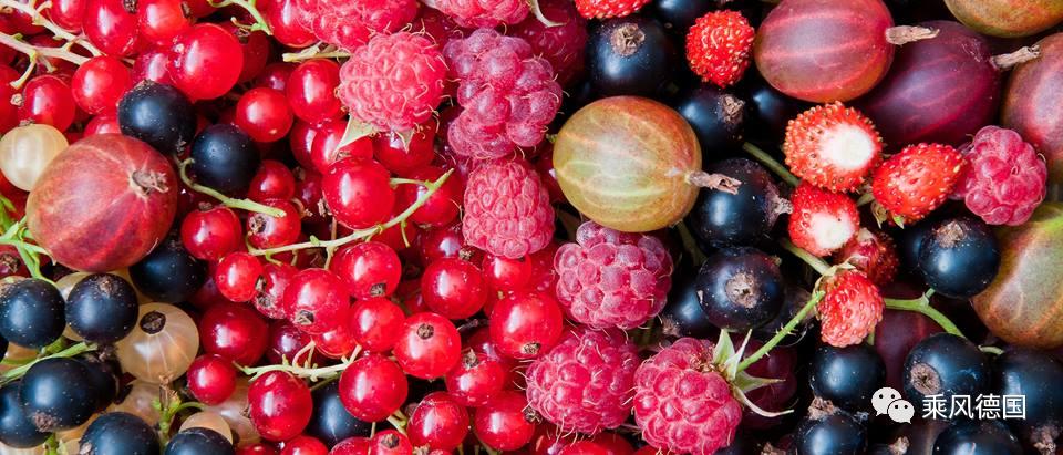 德国一线城市生活,德国生活有哪些和国内不一样