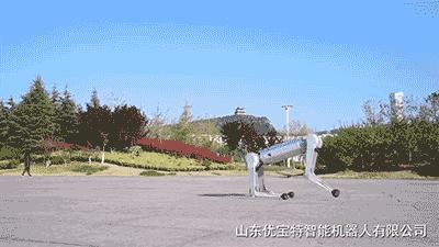 今年最火爆的智能机器狗,最新款智能机器狗推荐