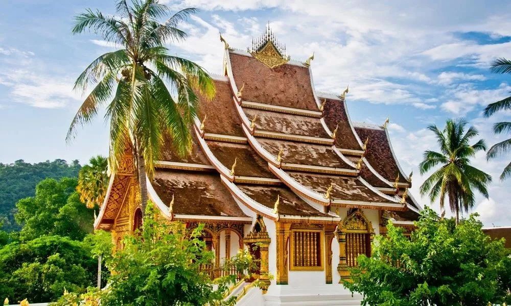 这9个没有确诊的国家，请继续美好