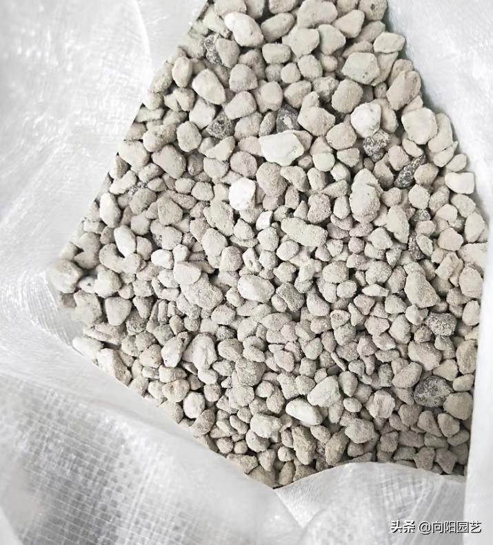 日本火山爆发，产生大量浮石，鱼腹塞满浮石，这种浮石2元一斤