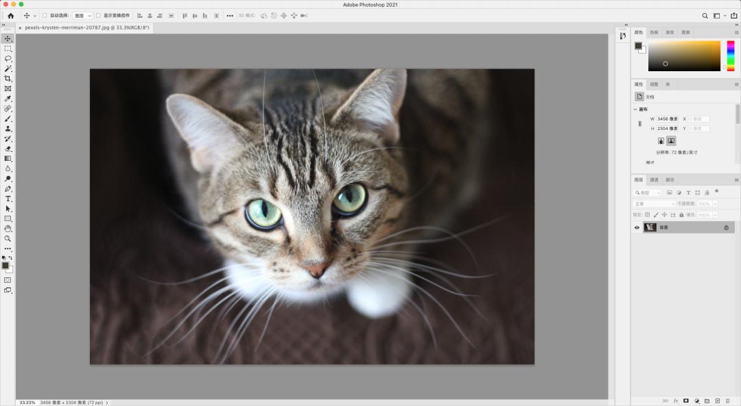 photoshop日常工作上比较实用的技巧,入门photoshop的必备基础