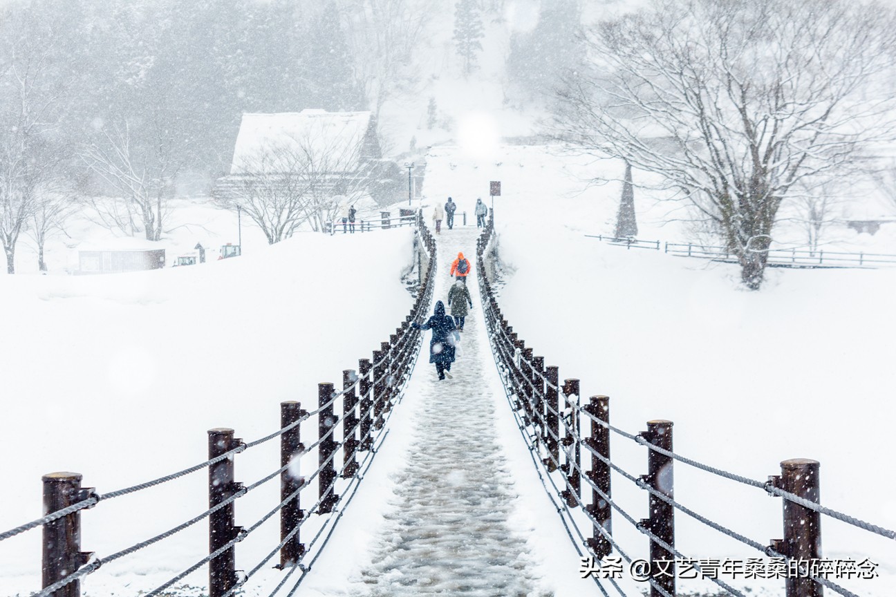 冬季日本的自驾游攻略,冬日游日本名古屋攻略