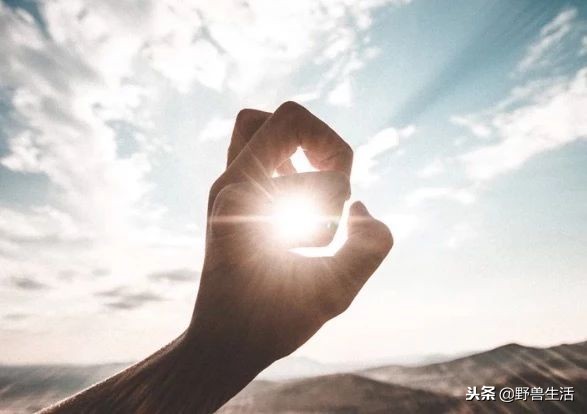 这4种维生素80%人非常缺,三秒判断出缺哪种维生素