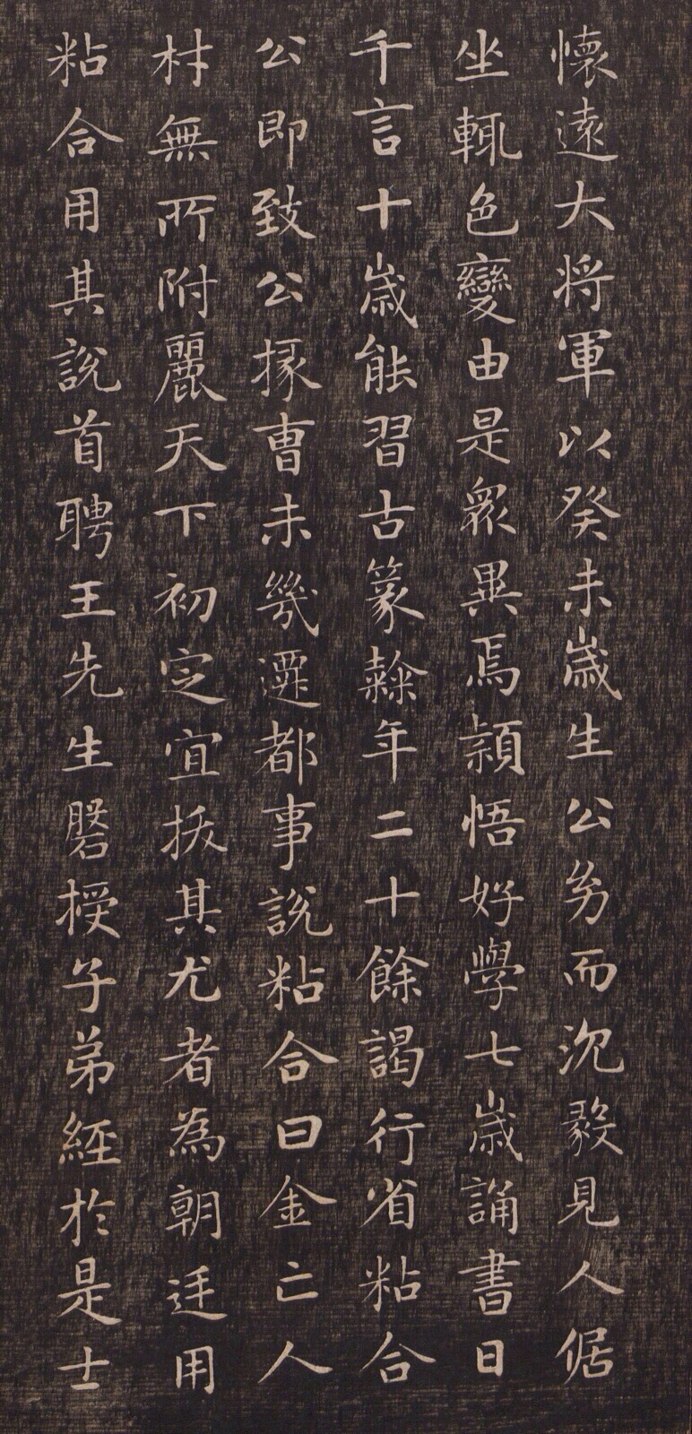 赵孟頫是元代书法家,元代赵孟頫水村图卷