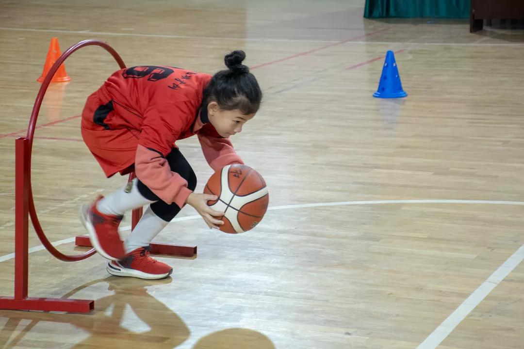 大手拉小手心连心公益活动,大手牵小手传递爱共成长公益活动