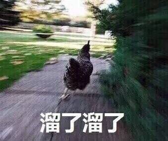 french法国英语,french英语单词啥意思