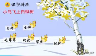 部编版四年级下册语文白桦笔记,部编版四下语文白桦优质教学设计