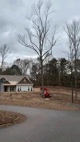 每日一笑看完你能不能忍住不笑,每日一笑看了让你笑