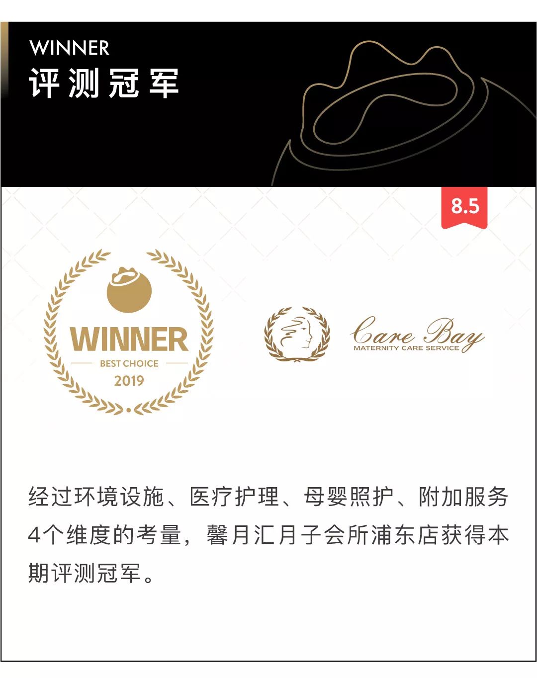 蓝莓评测酒店,月子中心蓝莓