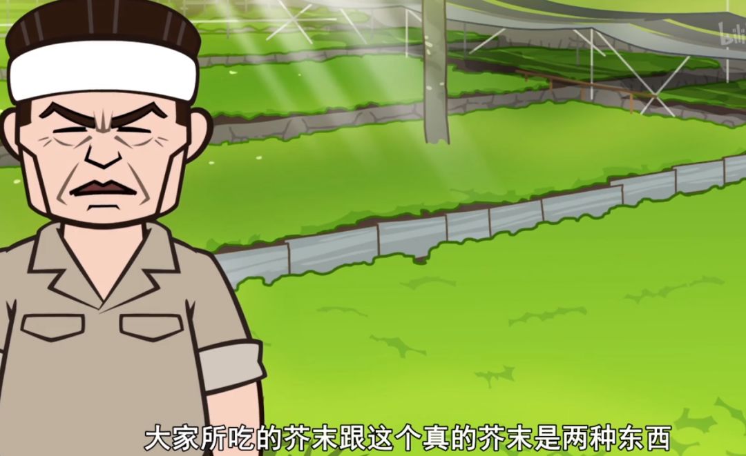 柒本味寿司之神,中国寿司之神柒本味