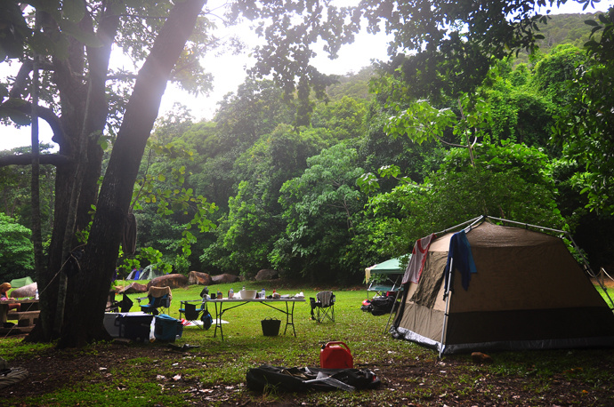 全民热遗｜大堡礁上有个翡翠岛，绝美好玩，还是海龟康复中心