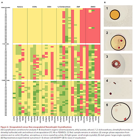 养不出单晶？抹点“神油”……