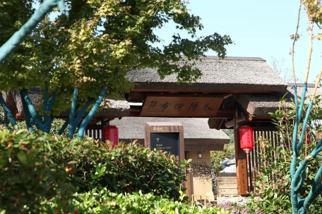 初夏去花海好玩吗,初夏去海边好玩吗