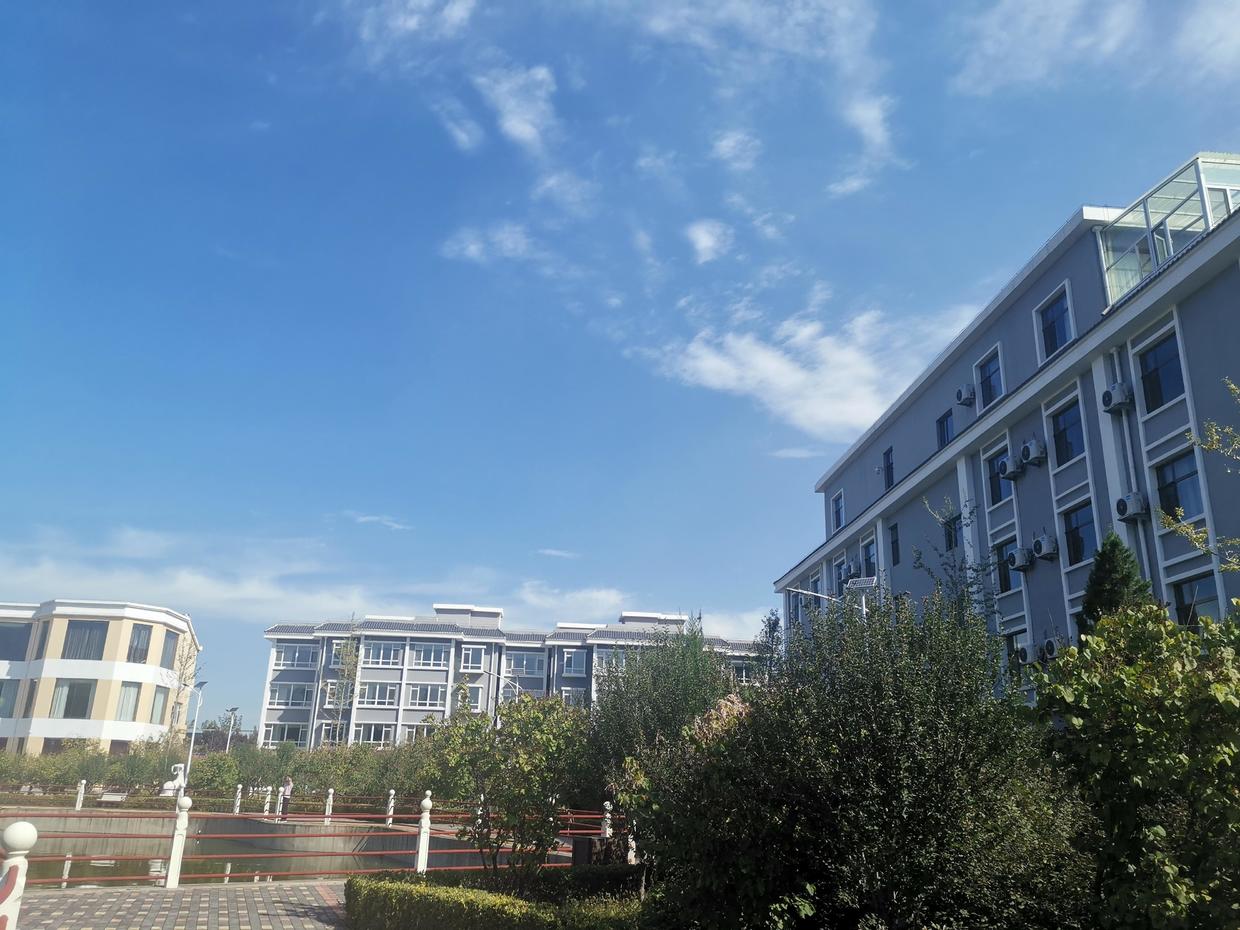 支付宝余额宝钱消失了怎么办,支付宝里借呗怎么突然消失了