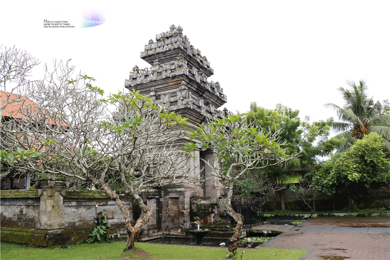 在印尼见识传说中最昂贵的猫屎咖啡