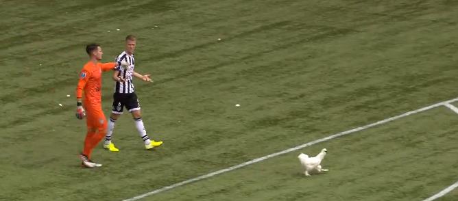 萌死人不偿命解说,萌死人不偿命