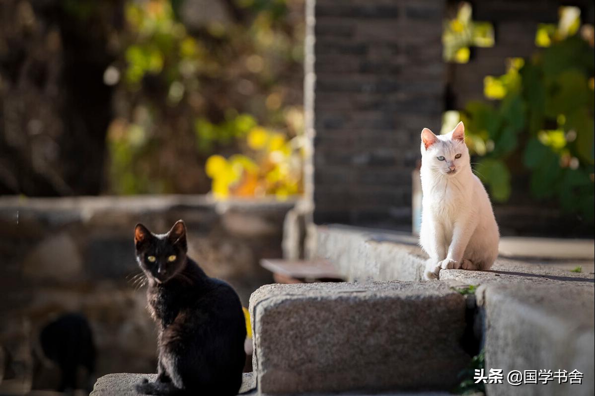 庄子不忘其所始不求其所终,庄子心不动则不伤