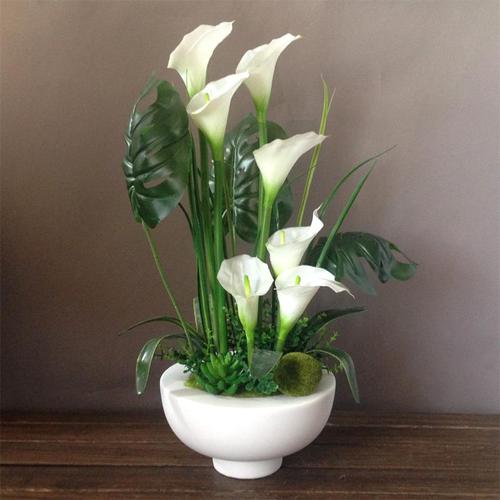 马蹄莲花开完花后怎么养,马蹄莲花的养殖方法和技巧图片